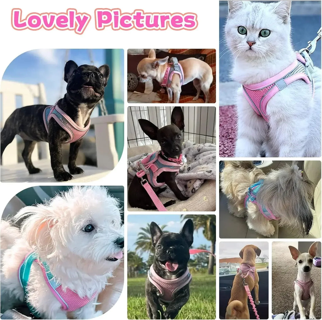 Escape-Proof Reflective Harness & Leash Set – Comfortable Walking Vest for Small Dogs & Cats 🐕🐱