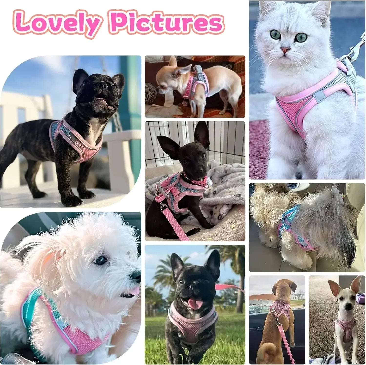 Escape-Proof Reflective Harness & Leash Set – Comfortable Walking Vest for Small Dogs & Cats 🐕🐱