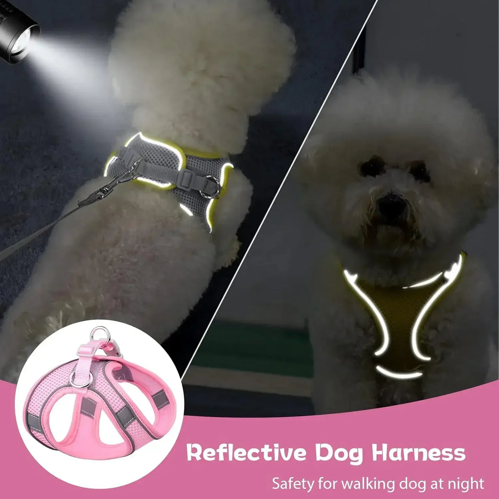 Escape-Proof Reflective Harness & Leash Set – Comfortable Walking Vest for Small Dogs & Cats 🐕🐱