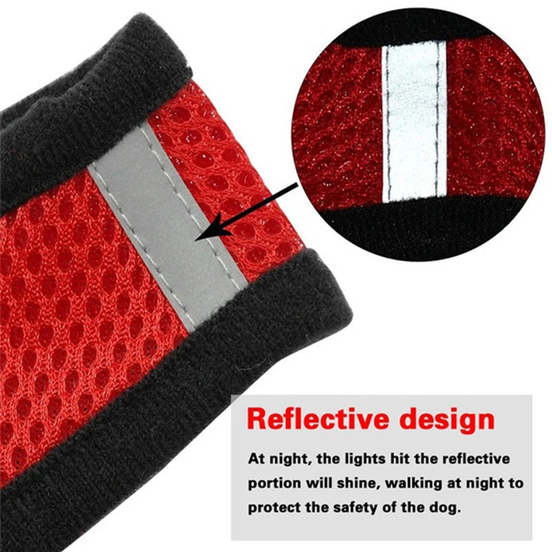 Adjustable No-Pull Reflective Harness with Leash for Dogs and Cats 🐶🐱