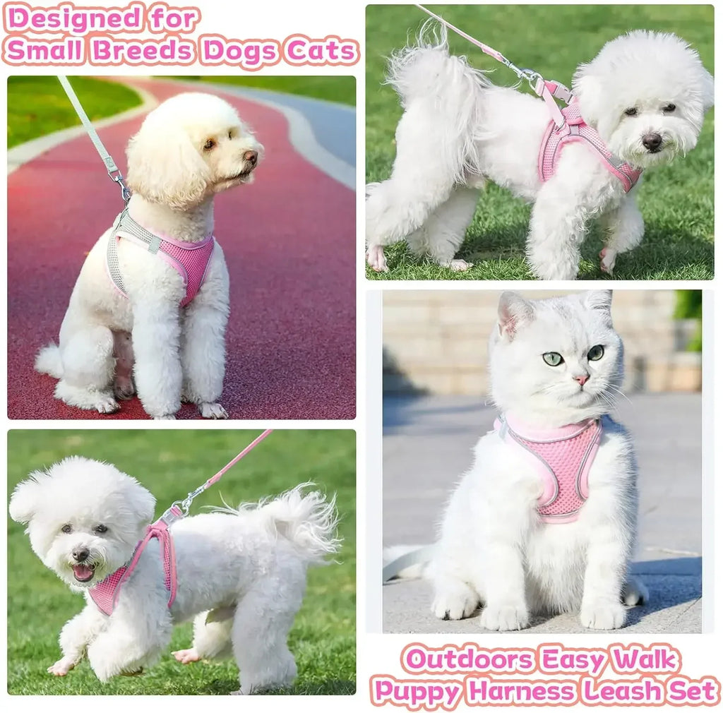 Escape-Proof Reflective Harness & Leash Set – Comfortable Walking Vest for Small Dogs & Cats 🐕🐱