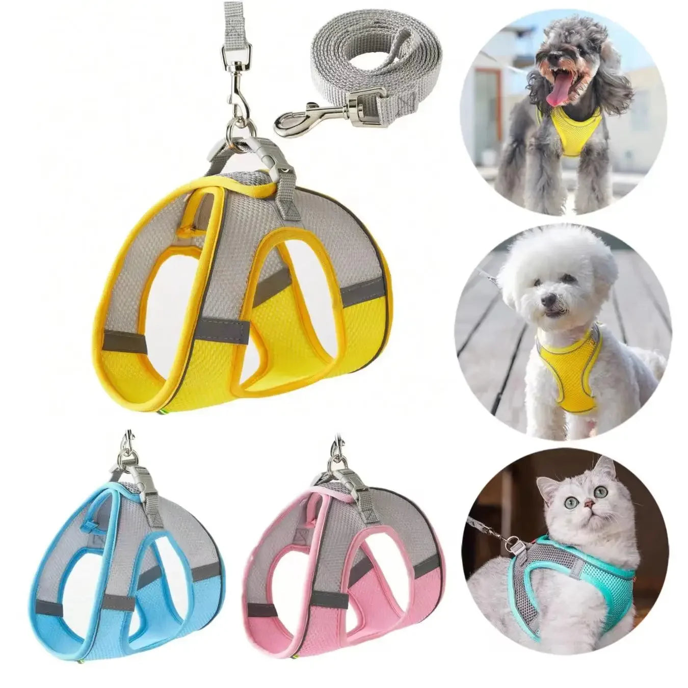 Escape-Proof Reflective Harness & Leash Set – Comfortable Walking Vest for Small Dogs & Cats 🐕🐱