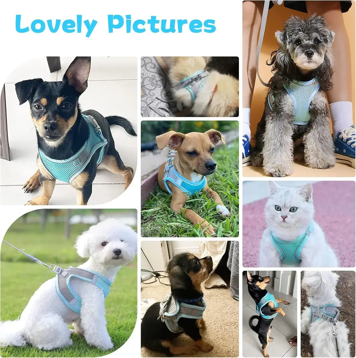 Escape-Proof Reflective Harness & Leash Set – Comfortable Walking Vest for Small Dogs & Cats 🐕🐱