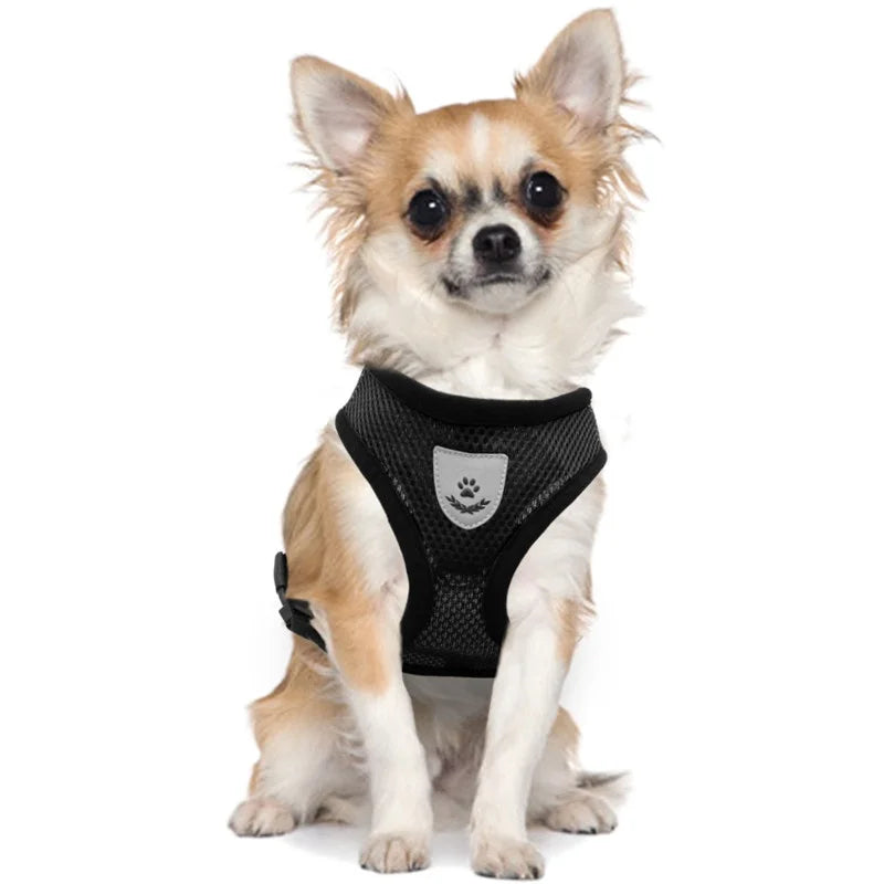 Adjustable No-Pull Reflective Harness with Leash for Dogs and Cats 🐶🐱