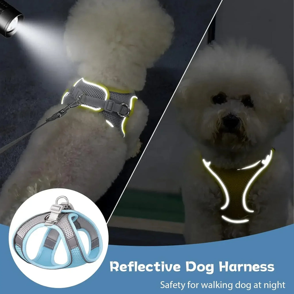 Escape-Proof Reflective Harness & Leash Set – Comfortable Walking Vest for Small Dogs & Cats 🐕🐱
