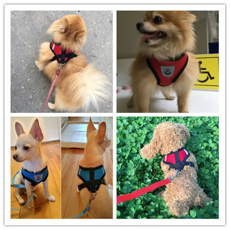Adjustable No-Pull Reflective Harness with Leash for Dogs and Cats 🐶🐱